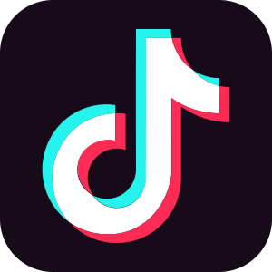 Tik Tok Icon.svg