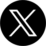 File:X icon.svg