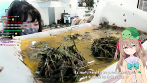 Neuro Cook with Layna.png
